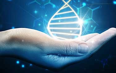 Reconnective Healing®